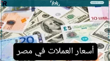 أسعار العملات في مصر السبت 25 أكتوبر 2025 تستقر بشكل ملحوظ